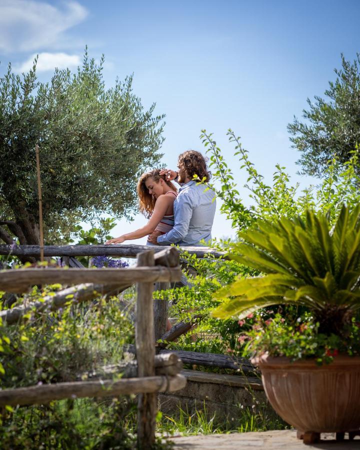 Casa Clementina Marciano Bed & Breakfast Massa Lubrense Exterior photo